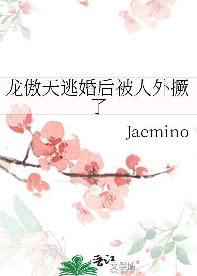 龙傲天名字