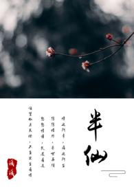 半仙TXT免费