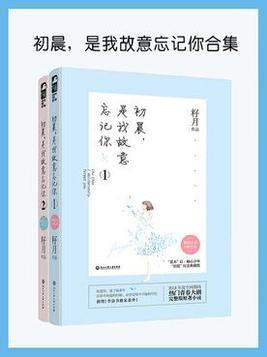 是我故意忘记你3