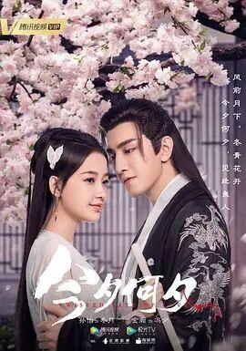 今夕何夕电视剧免费播放