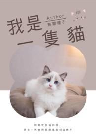 我是一只猫怎么找到车库钥匙