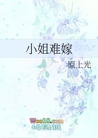 小姐难嫁gl类似的推荐