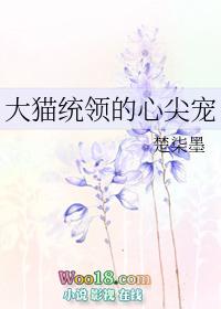 大猫统领的心尖宠gl盘