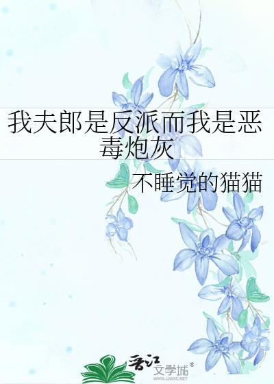 我夫郎是反派而我是恶毒炮灰123