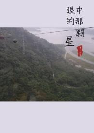 眼中星讲的什么故事