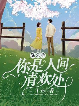 陆先生你是我命中注定免费阅读