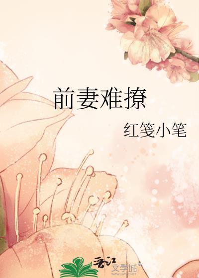 前妻难撩付先生想复合免费阅读