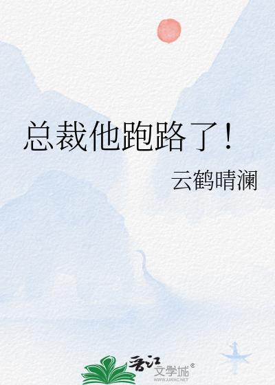 总裁他跑路了晋江