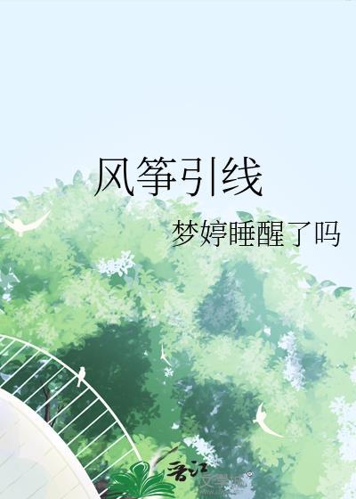 风筝引线全文阅读