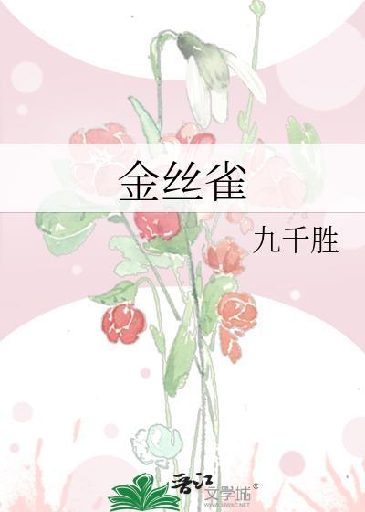 金丝雀鸟的叫声
