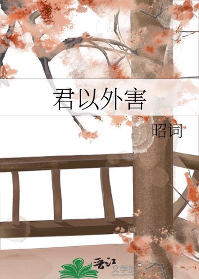 君以外害中文翻译