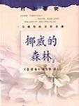 挪威的森林 片段