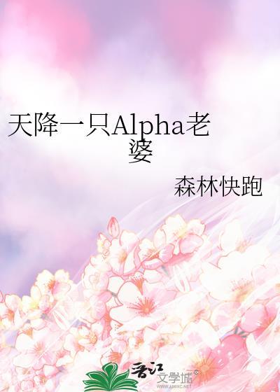 天降爱妻一赠二全文免费阅读