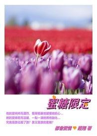 蜜糖选择2