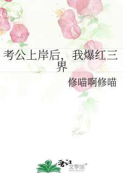 公考上岸的人