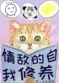 我的情敌是自己 电视剧