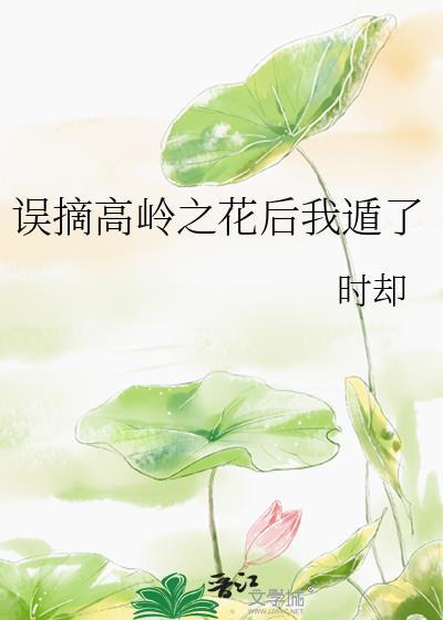 黑莲花机制修改