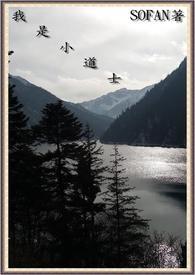 我是阴阳道士 因帅被罚破产