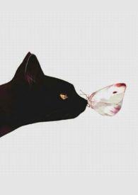 人间好时节歌词