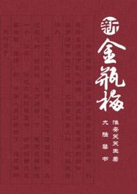 新金瓶梅12合集