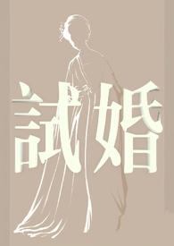 试婚逃妾by雨山雪