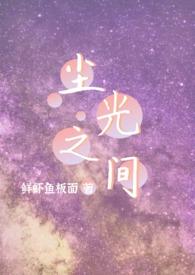 尘光之间 顶点