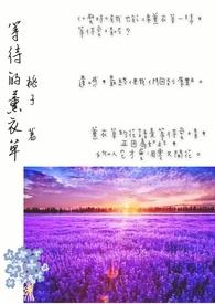 薰衣草等待爱情的说说