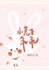 小兔子乖乖的作品