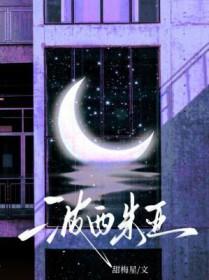 波西米亚猫