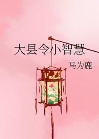 大县令小仵作