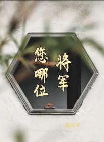 你将军