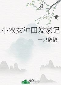小农女种田发家记by一只鹅鹅