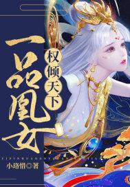 一品凰妃沈娴秦如凉txt