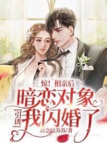 相亲对象竟然是暗恋7年AI