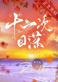十一次日落by