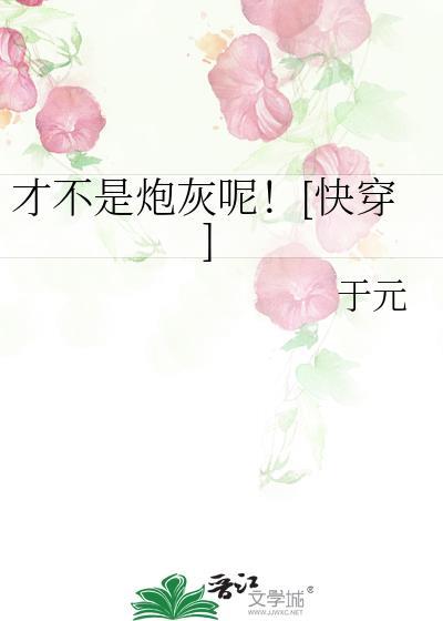 我才不是炮灰攻 完结+番外