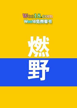 燃野沉论