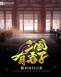 三国有君子大结局