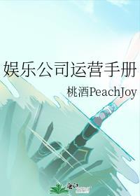 娱乐公司运营手册by桃酒