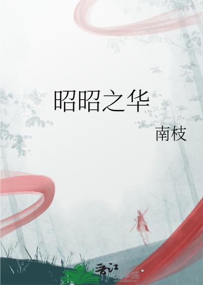 昭昭之辉