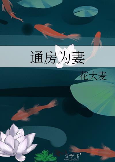 娶通房为妻