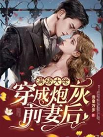 满级大佬穿越成炮灰前妻后