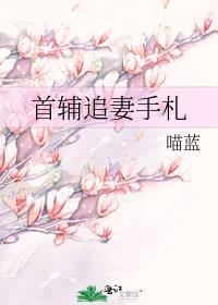 首辅追妻手札百度