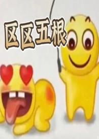 区区五根是什么意思