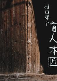 村口那个盲人木匠在线阅读