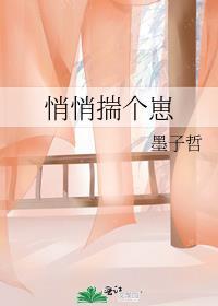悄悄揣个崽讲的什么内容