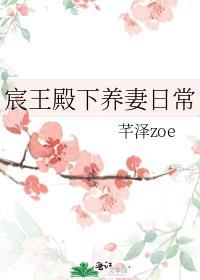 宸王殿下的小月光
