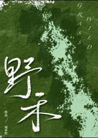 伪兄妹完结