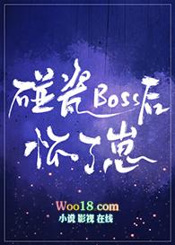 碰瓷厂长最新章节