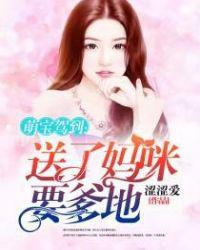 萌宝驾到拐的爹的送妈咪
